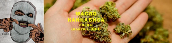 прущие грибы Алзамай