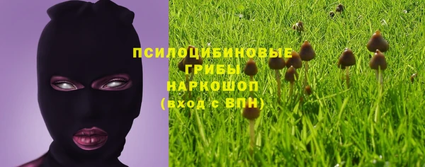 прущие грибы Алзамай