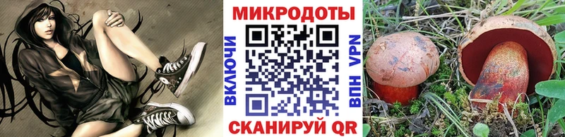Галлюциногенные грибы Cubensis blacksprut ссылка Берёзовка